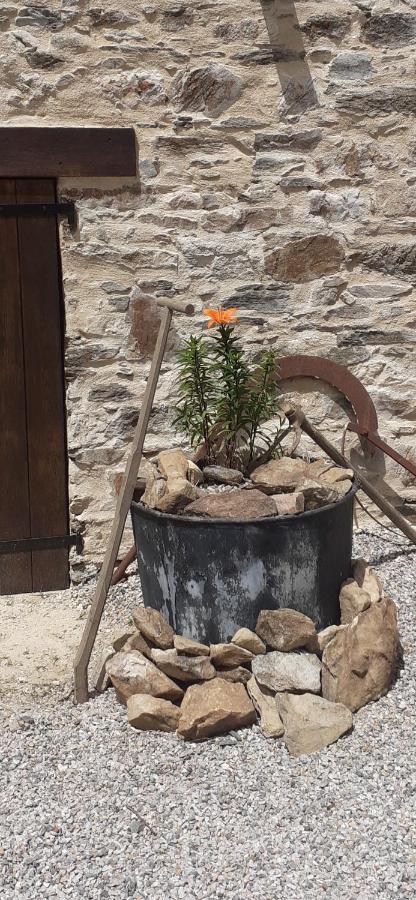 Chambre Dhotes B&B Le Figuier Benayes Exteriör bild
